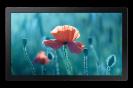 Samsung 13'' Edge LED ...