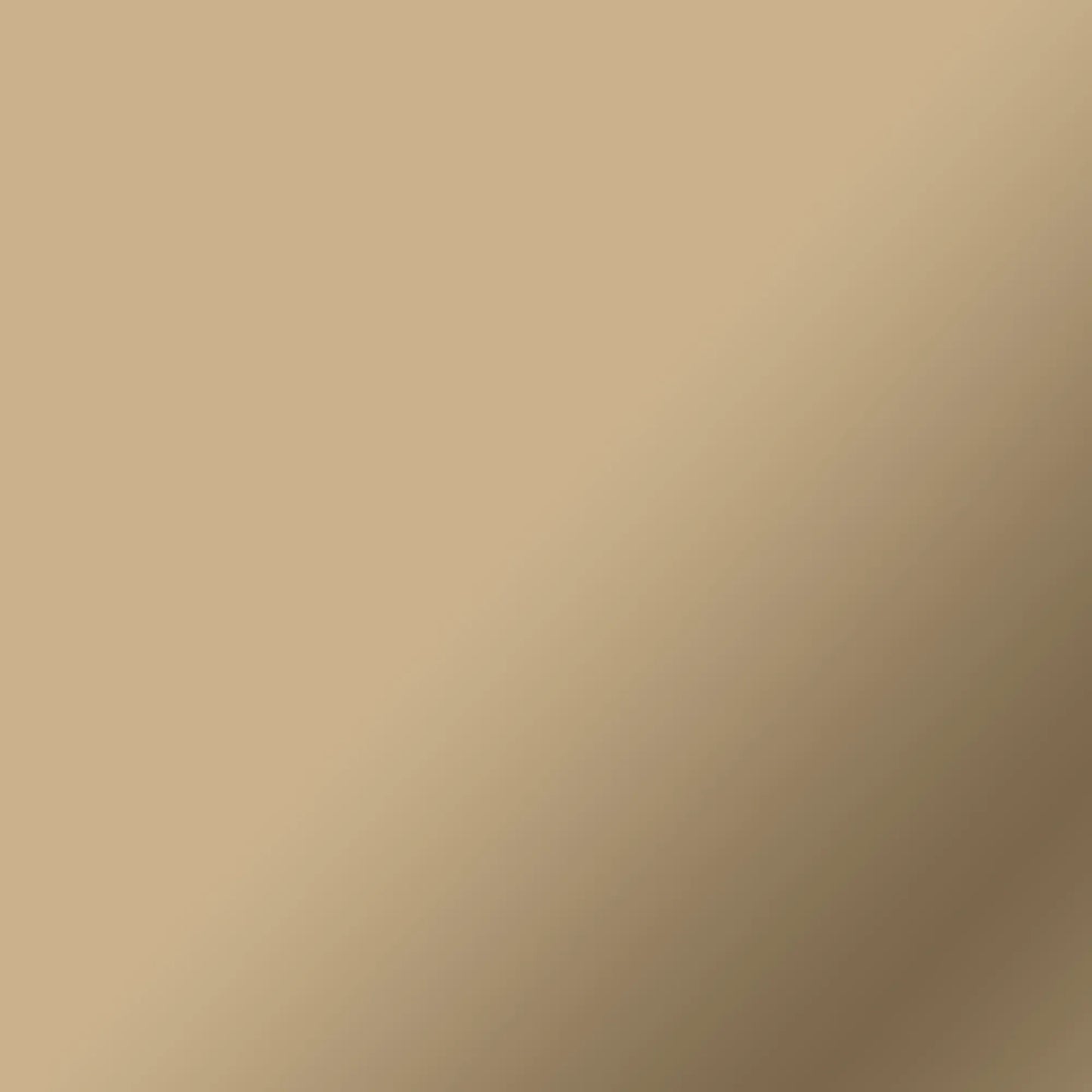 2007694 - Cricut Everyday Iron-On 30x60cm (Gold).