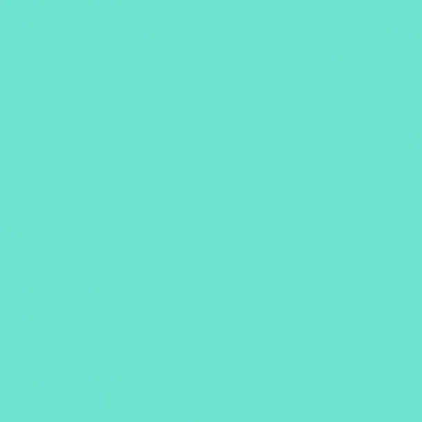 2008629 - Cricut Smart Vinyl Permanent 33x91cm 1 sheet (Mint)