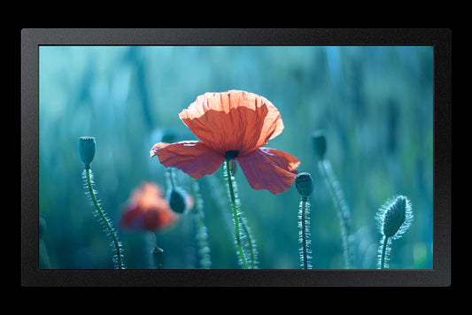 Samsung 13'' Edge LED ...